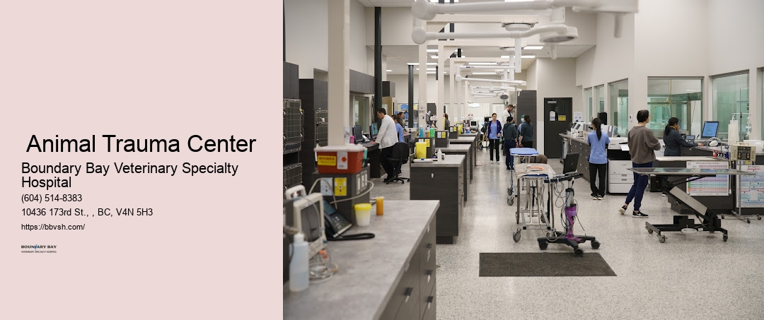 Pet Hospital Open After Hours Surrey Animal Trauma Center