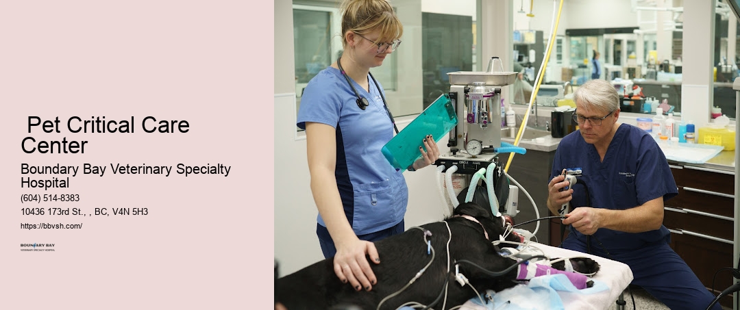 24/7 Dog Hospital Surrey Pet Critical Care Center