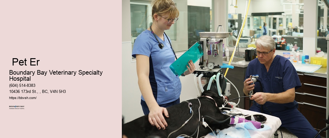 24-Hour Veterinary Surrey Pet Er