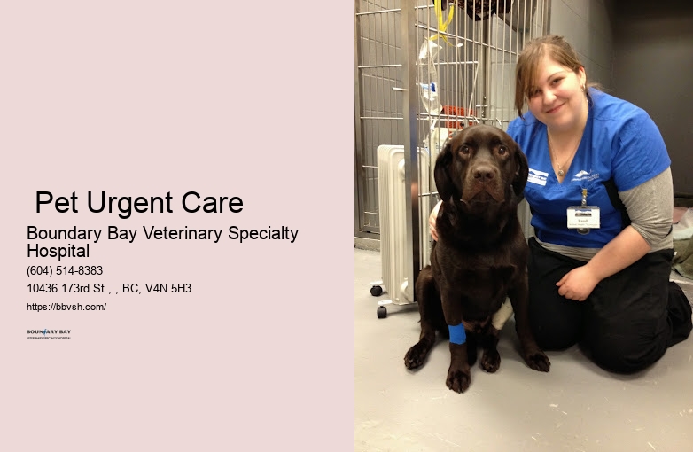 Animal Hospital Open Nights Surrey Pet Urgent Care