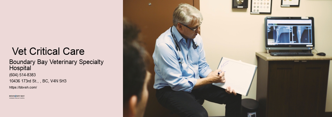 Emergency Pet Icu Near Me Surrey Vet Critical Care