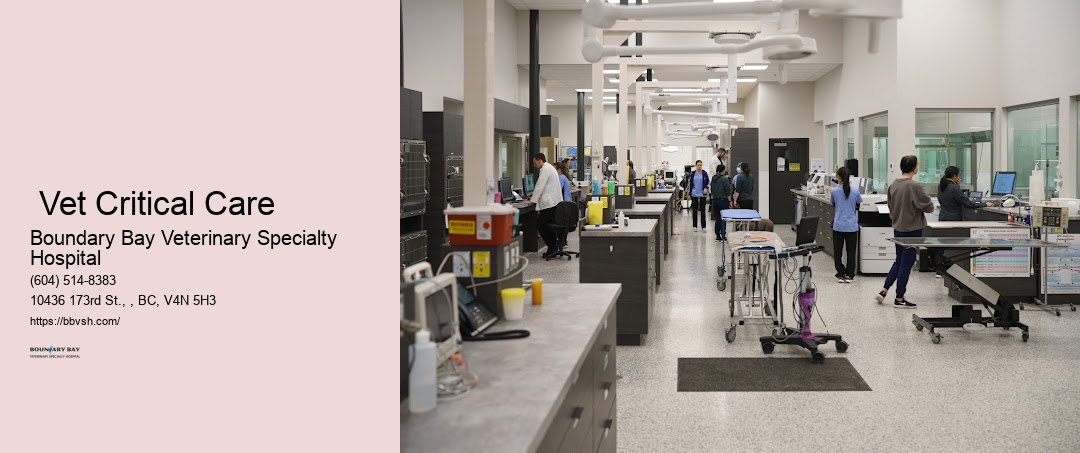 Surrey Vet Critical Care Pet Emergency Trauma Center