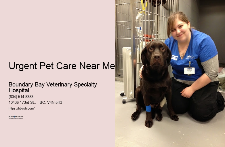 Urgent Pet Hospital Urgent Pet Care Near Me Surrey
