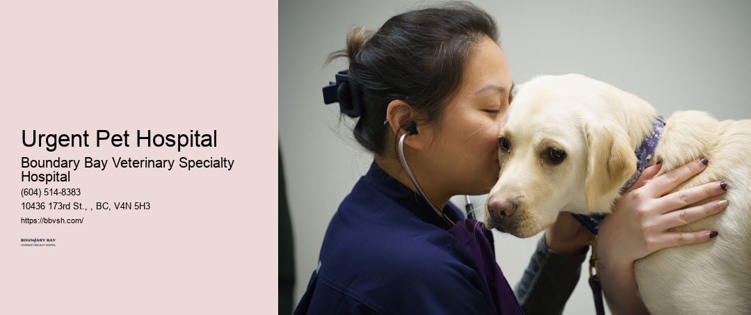 Urgent Pet Hospital Surrey