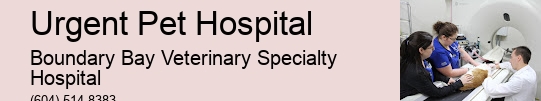 Animal Hospital After Hours Urgent Pet Hospital Surrey