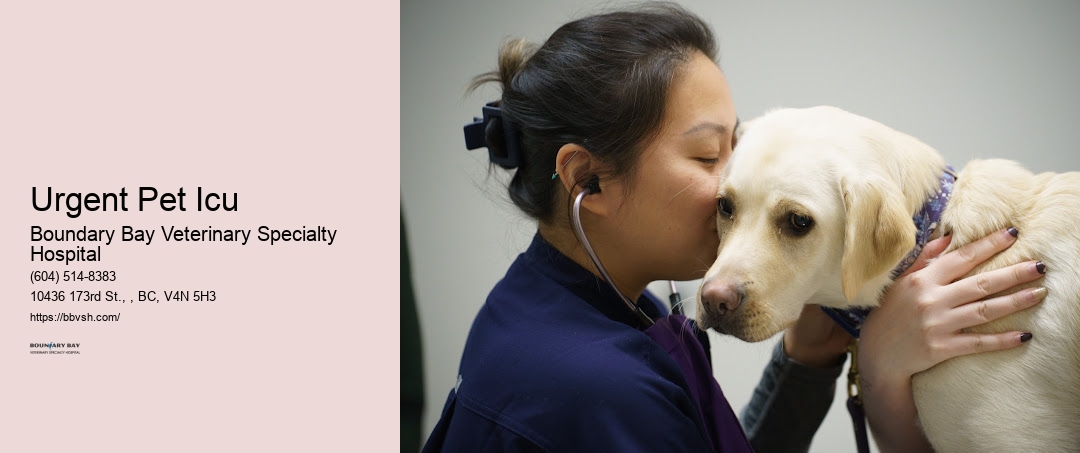 Urgent Pet Icu Surrey