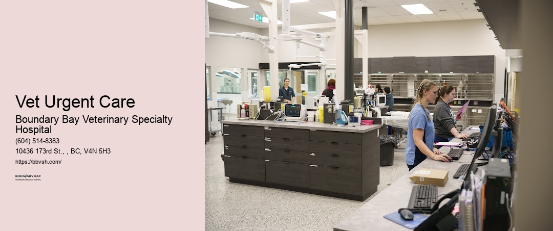 Vet Urgent Care Surrey Critical Pet Surgery