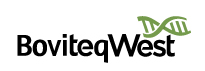 BW Logo Boviteq West Logo