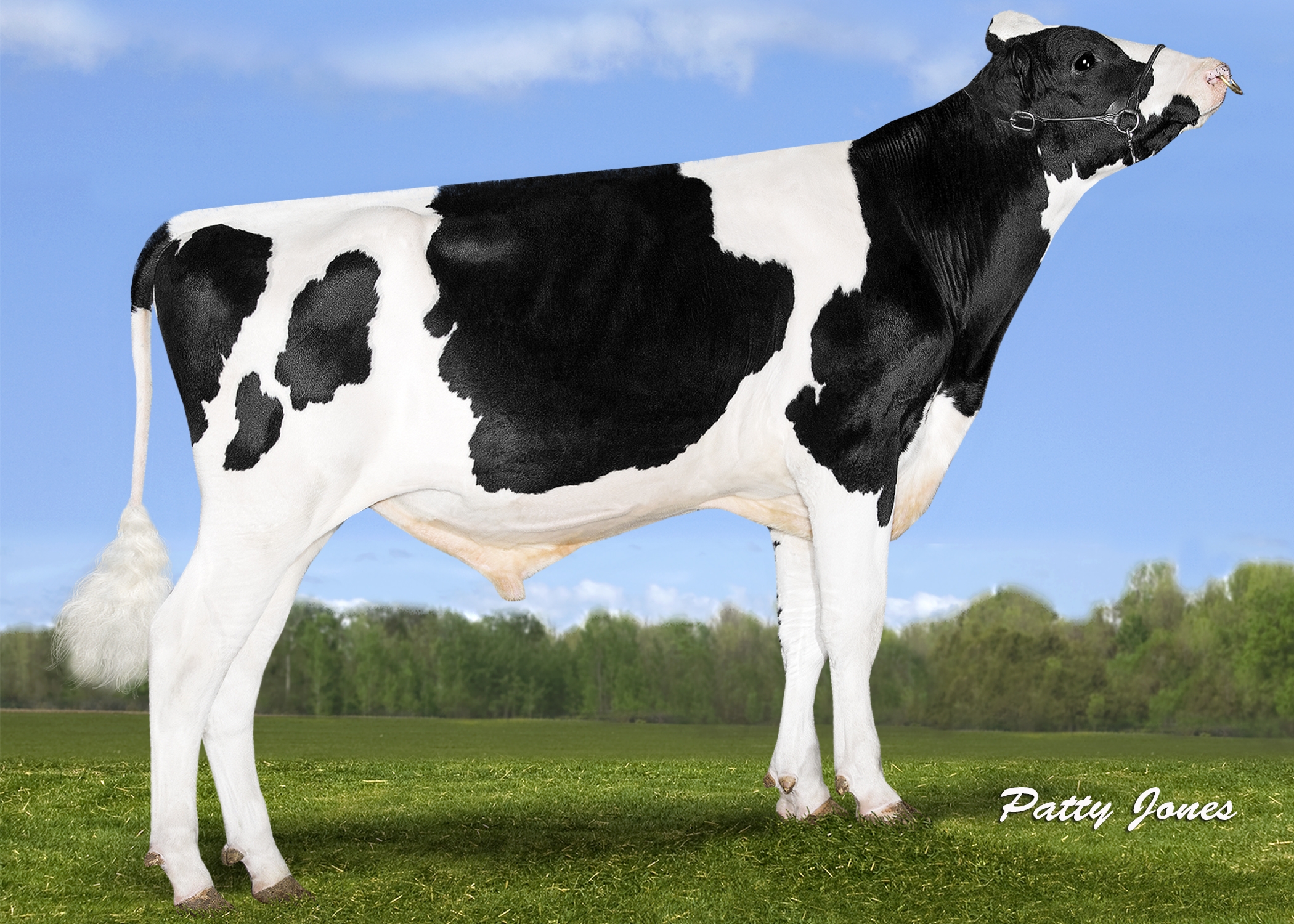 Progenesis Montfort