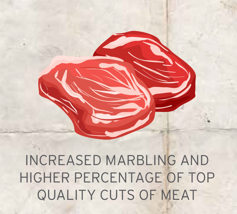 BEEF increased-marbling BEEF increased-marbling