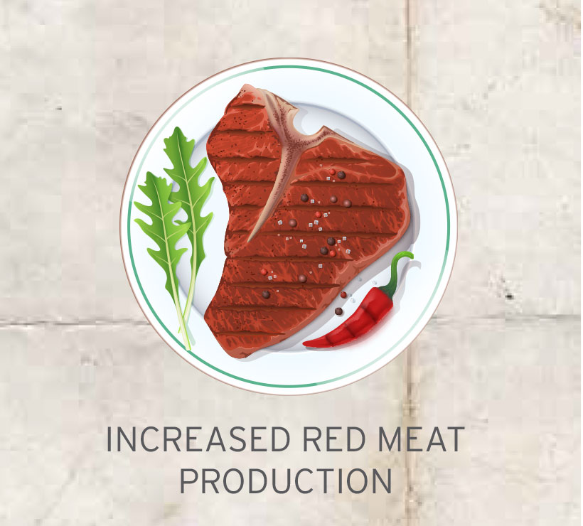 BEEF increased-red-meat-production