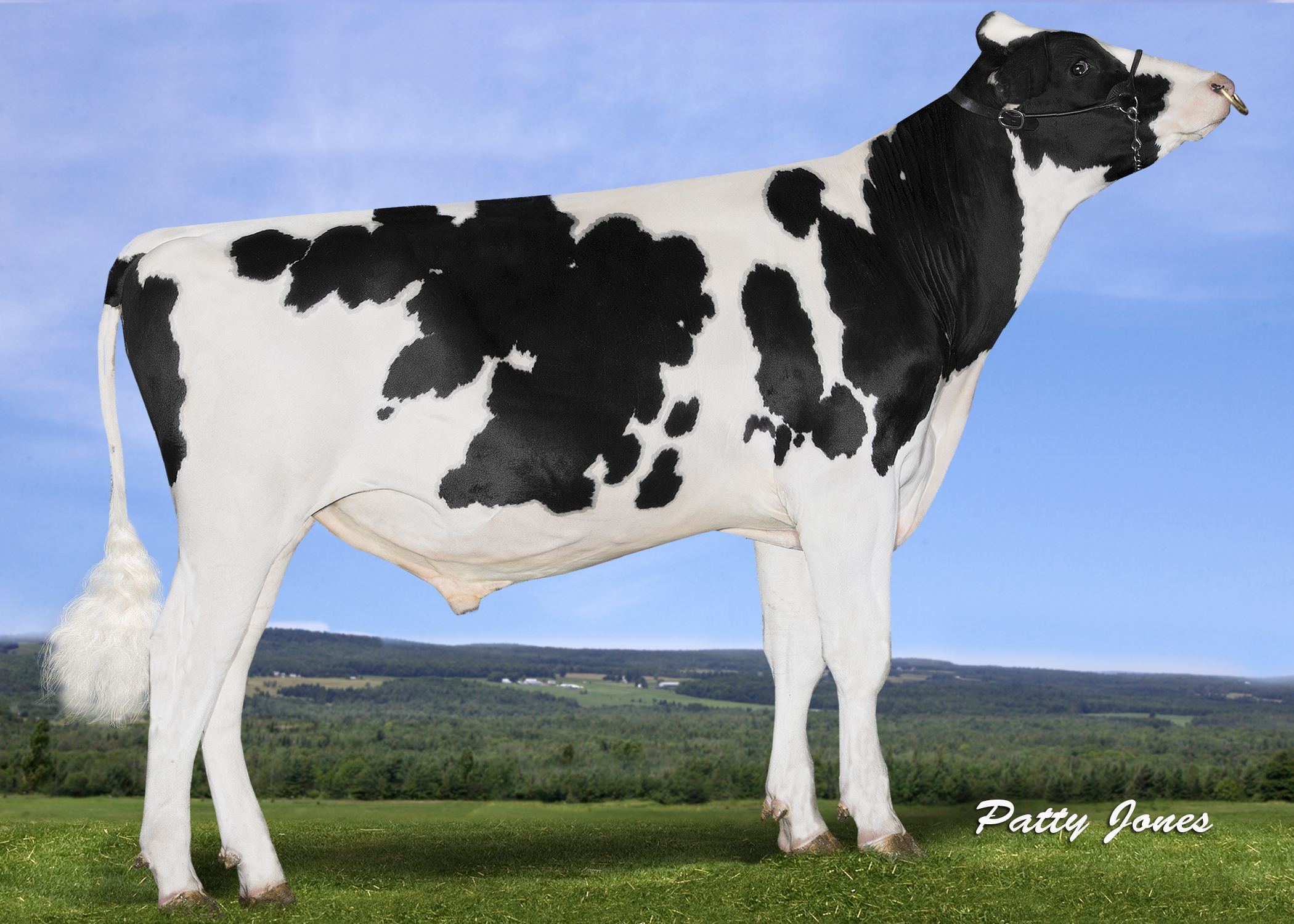 WestcoastRigel0417