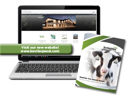 Boviteq-website Boviteq-website