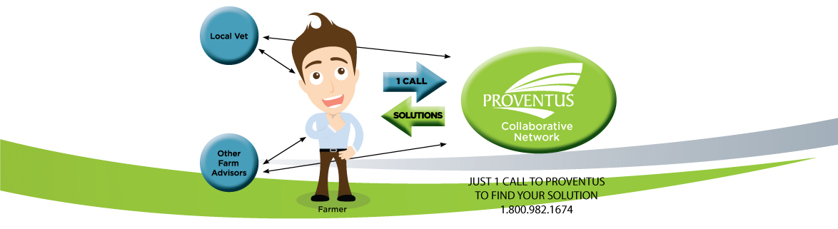 Proventus_1-call_phone