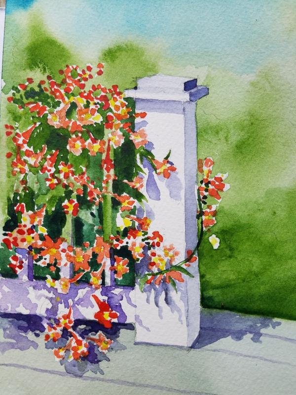 Trumpet vine on my deck in GA, USA WetCanvas Online Living for Artists