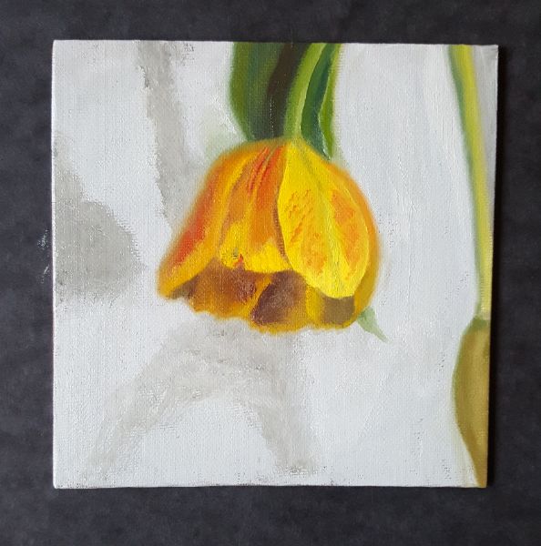 February a painting a day challenge WetCanvas Online Living for