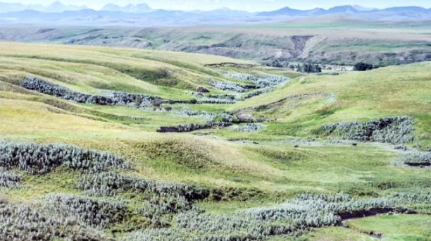 Waldron Range - WetCanvas: Online Living for Artists