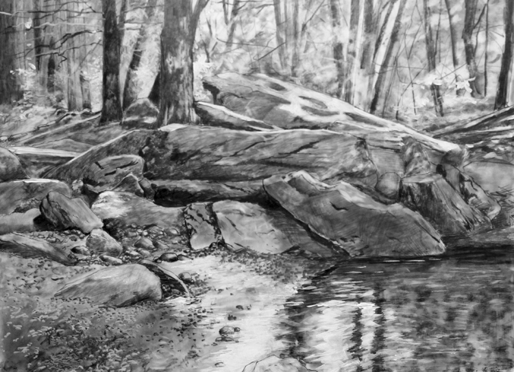 Using a graphite underpainting? WetCanvas Online Living for Artists