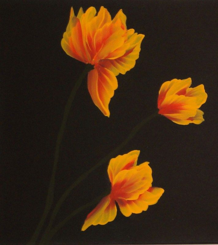 Dollar Store Acrylic paint in bottles WetCanvas Online Living for