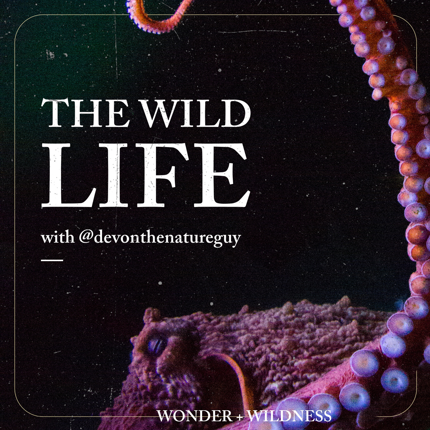 The Wild Life