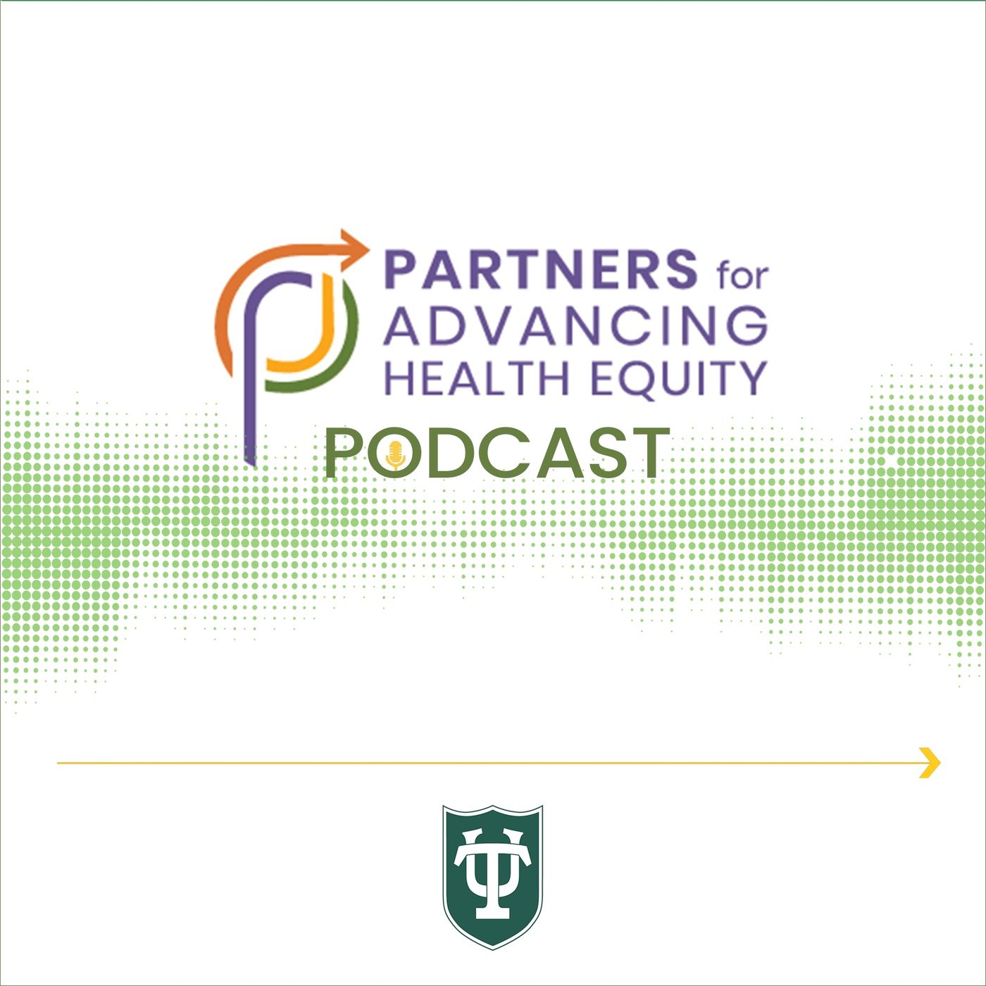 Partners for Advancing Health Equity