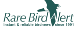 Rare Bird Alert