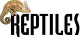 Reptiles Magazine