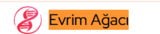 Evrim Agaci