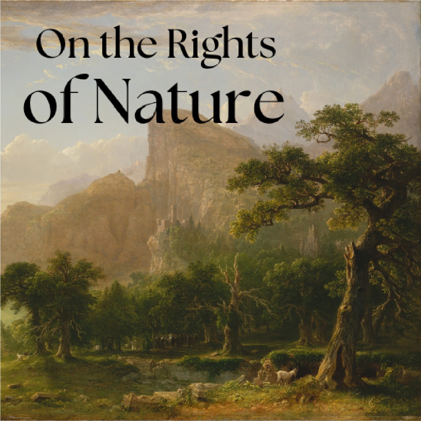 On the Rights of Nature