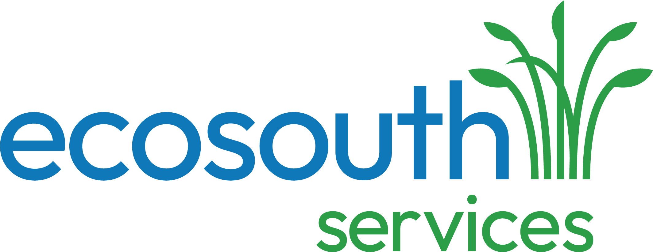 EcoSouth logo