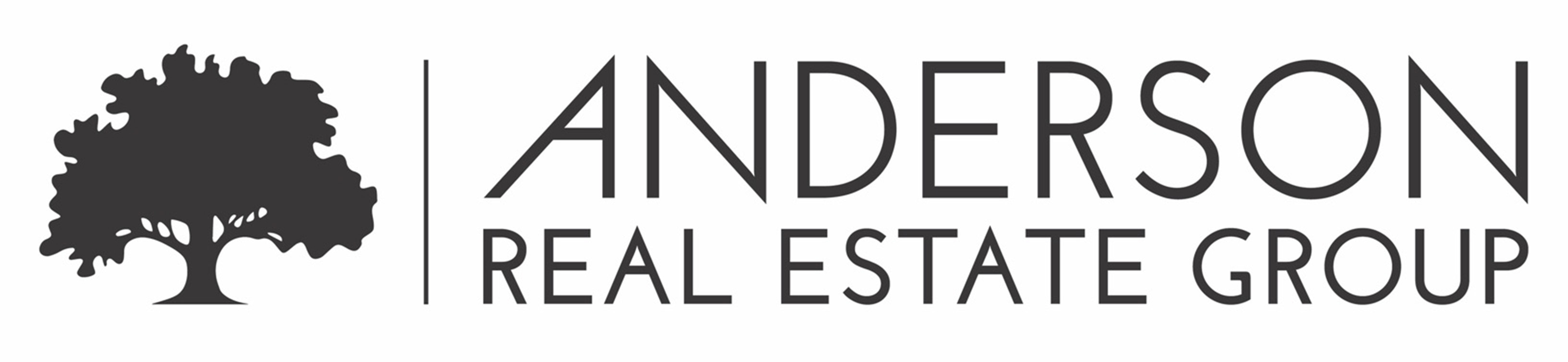 Anderson Real Estate Group logo