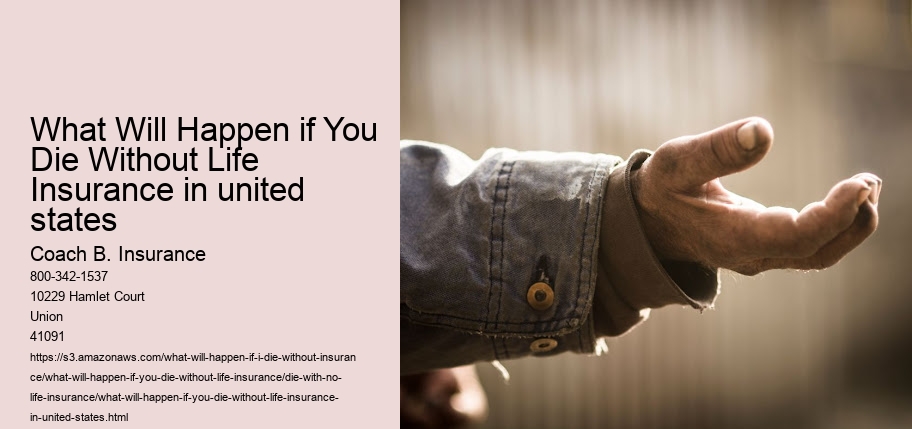 What Will Happen if You Die Without Life Insurance in united states
