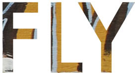 FLY