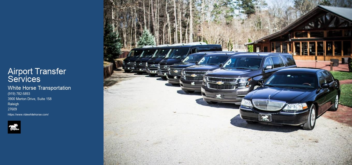 Airport Transfer Services