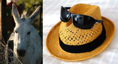 Straw Hat Mule