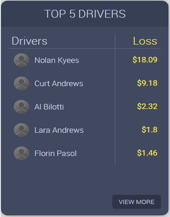 Efficiency drivers.PNG