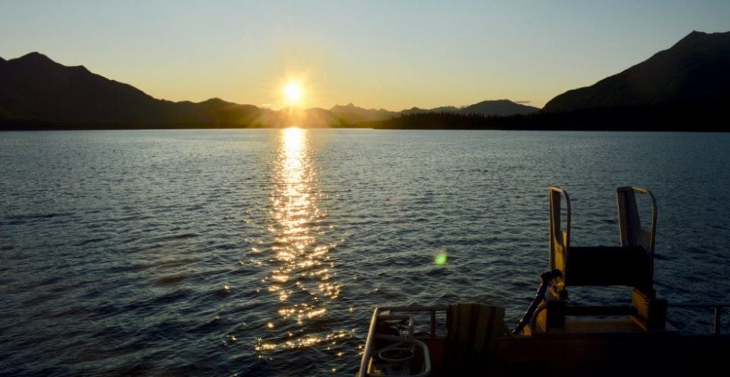 How to Buy WildCaught Salmon Sustainable, Fresh & Wild