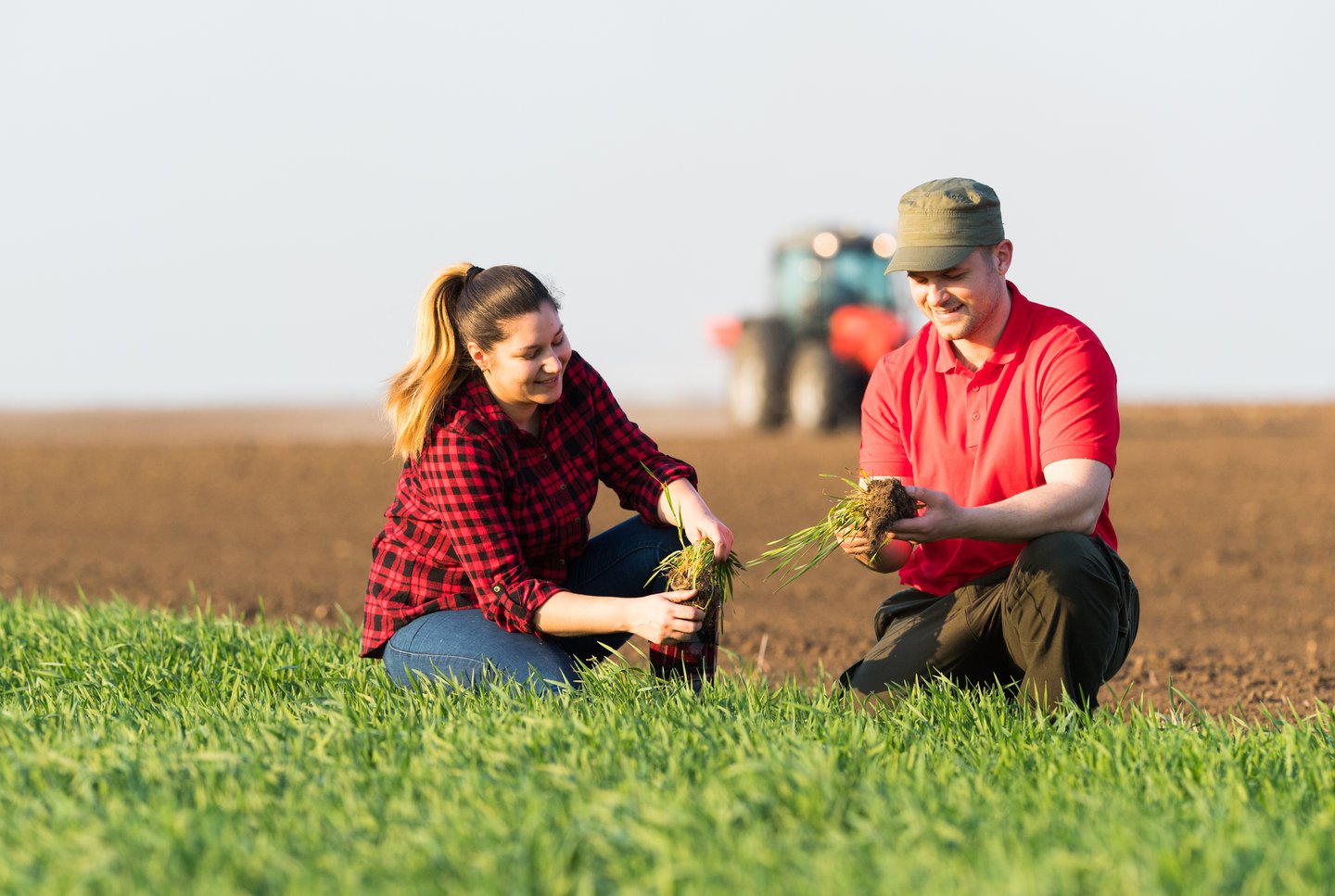 Farmers in field