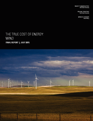 Full Report True Cost Of Wind1