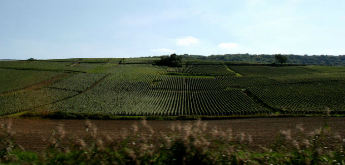 champagne-france-680