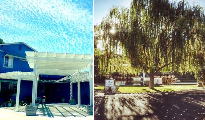 Midnight Cellars Winery