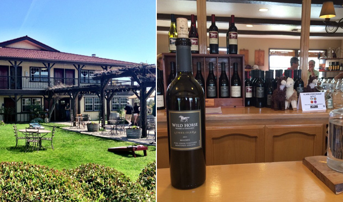 Wild Horse Winery