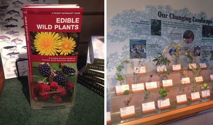 elkhorn-slough-national-estuarine-reserve-680