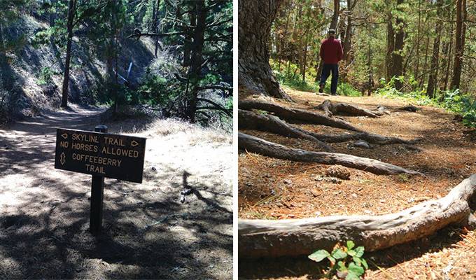 jacks-peak-county-park-680