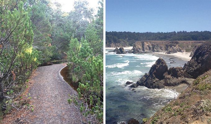 jug-handle-ecological-staircase-680