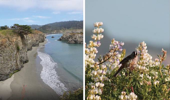 mendocino-headlands-state-park-680