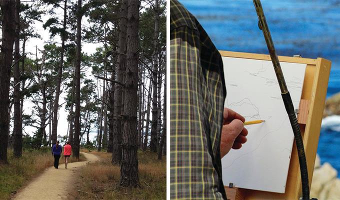 point-lobos-state-reserve-680