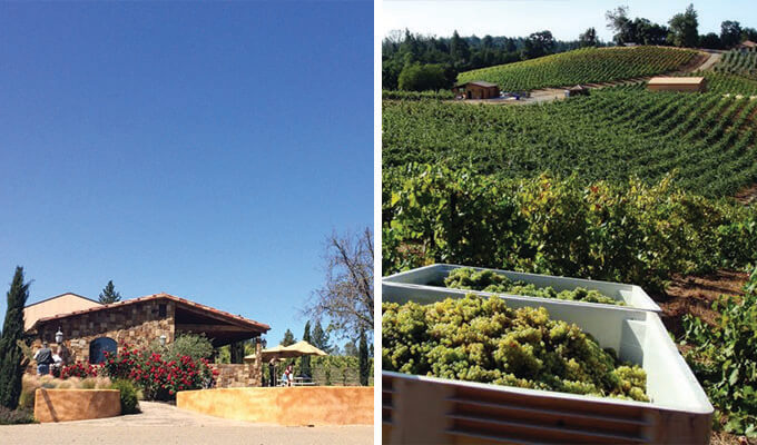 il-gioiello-winery-680