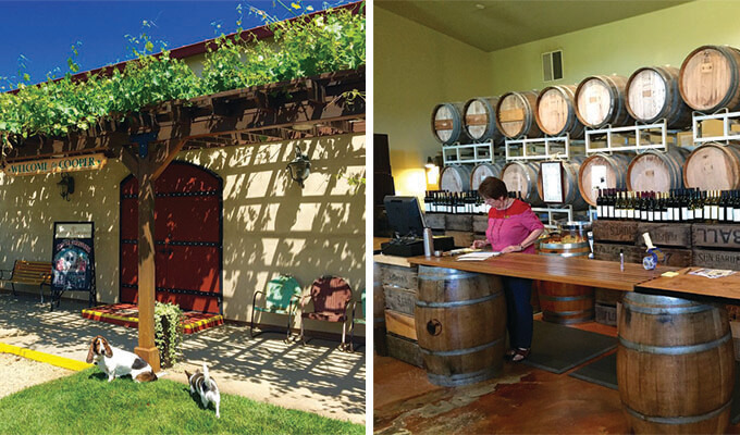 cooper-vineyards-680