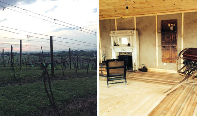 demello-vineyards-480